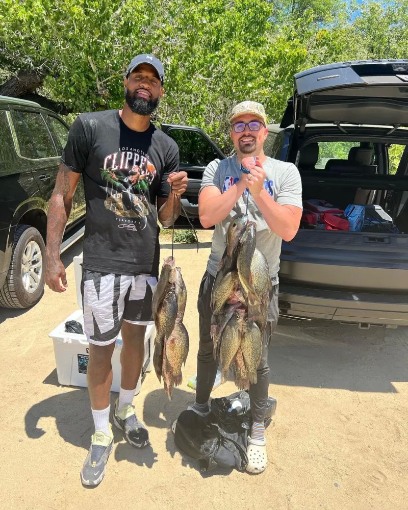 四成山东篮 四成山东篮